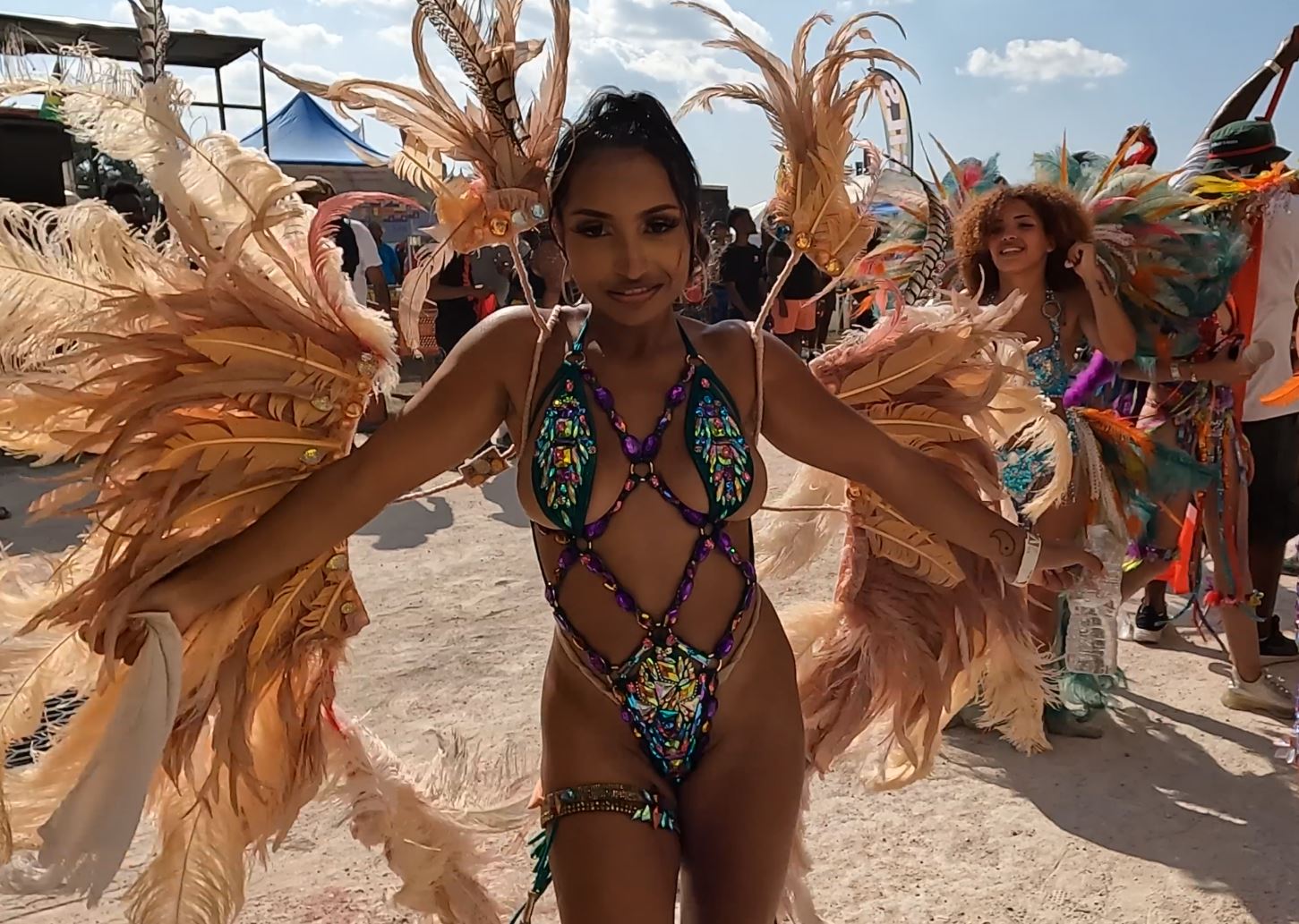 Costumed masqueraders on parade day in feathered mas