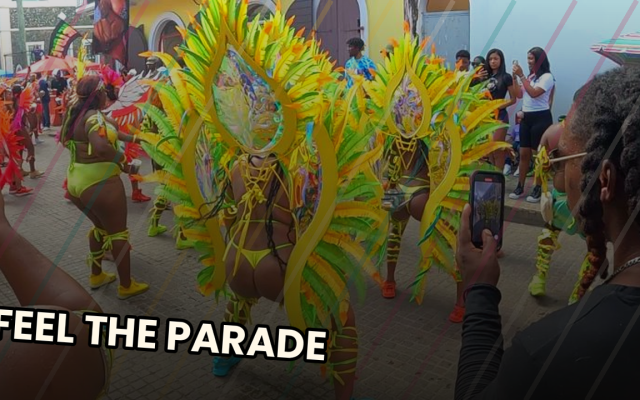 VI Carnival Parade — Caribbean Carnival video