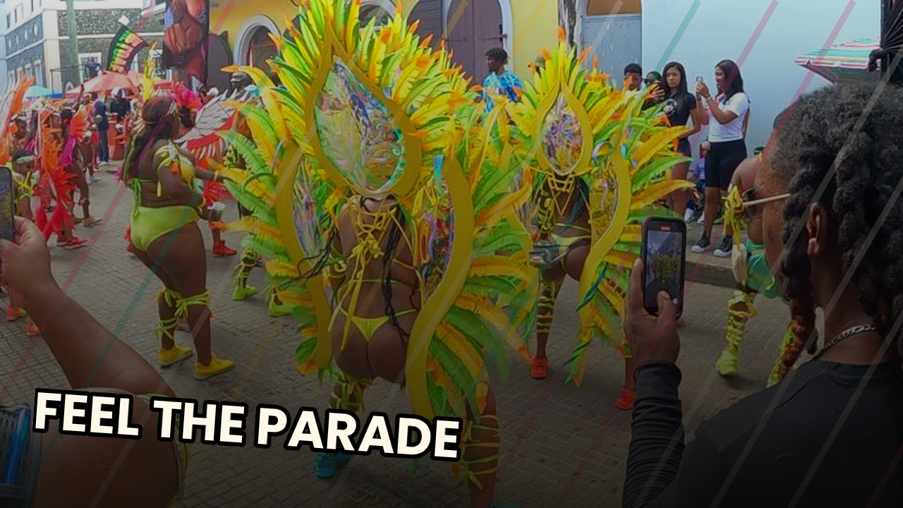 VI Carnival Parade